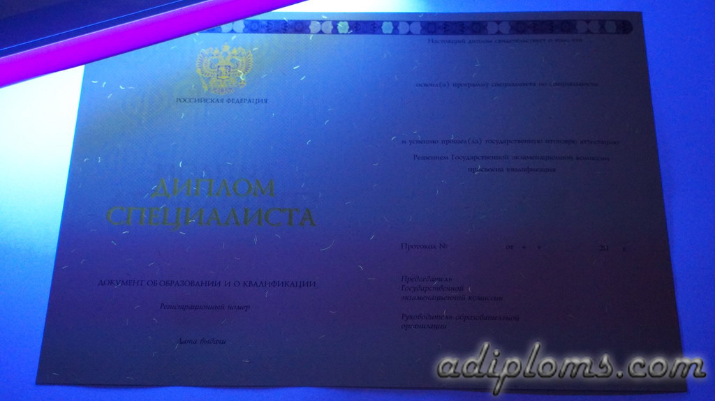 Диплом специалиста 2014-2025 Фото